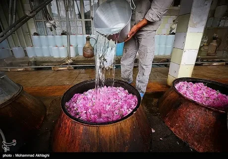 تصویر 2 از گلاب و عرقیات گیاه + فروش عمده
